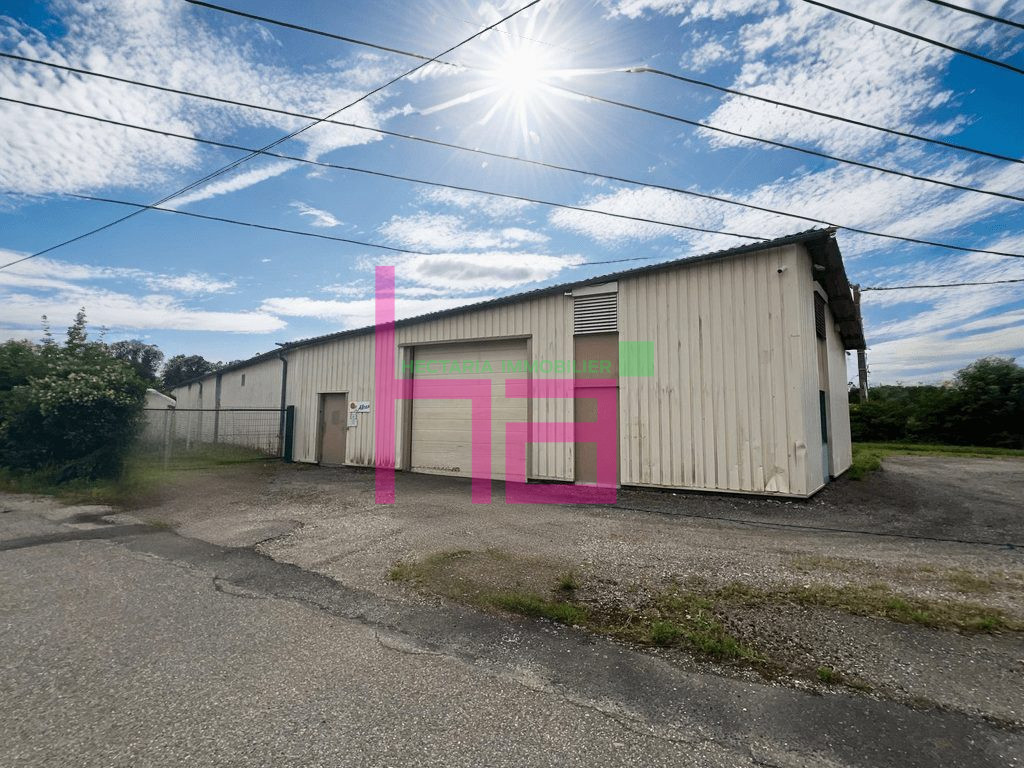 Immobilier Professionnel à vendre Beynost - Photo 2