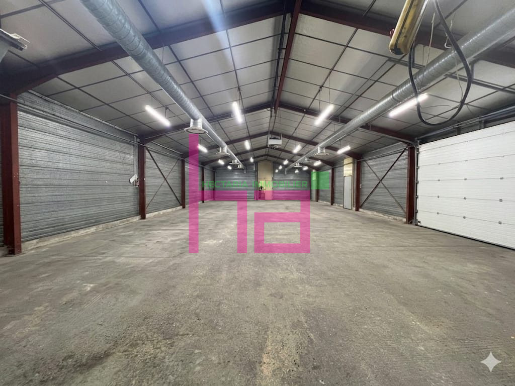 Immobilier Professionnel à vendre Beynost - Photo 1