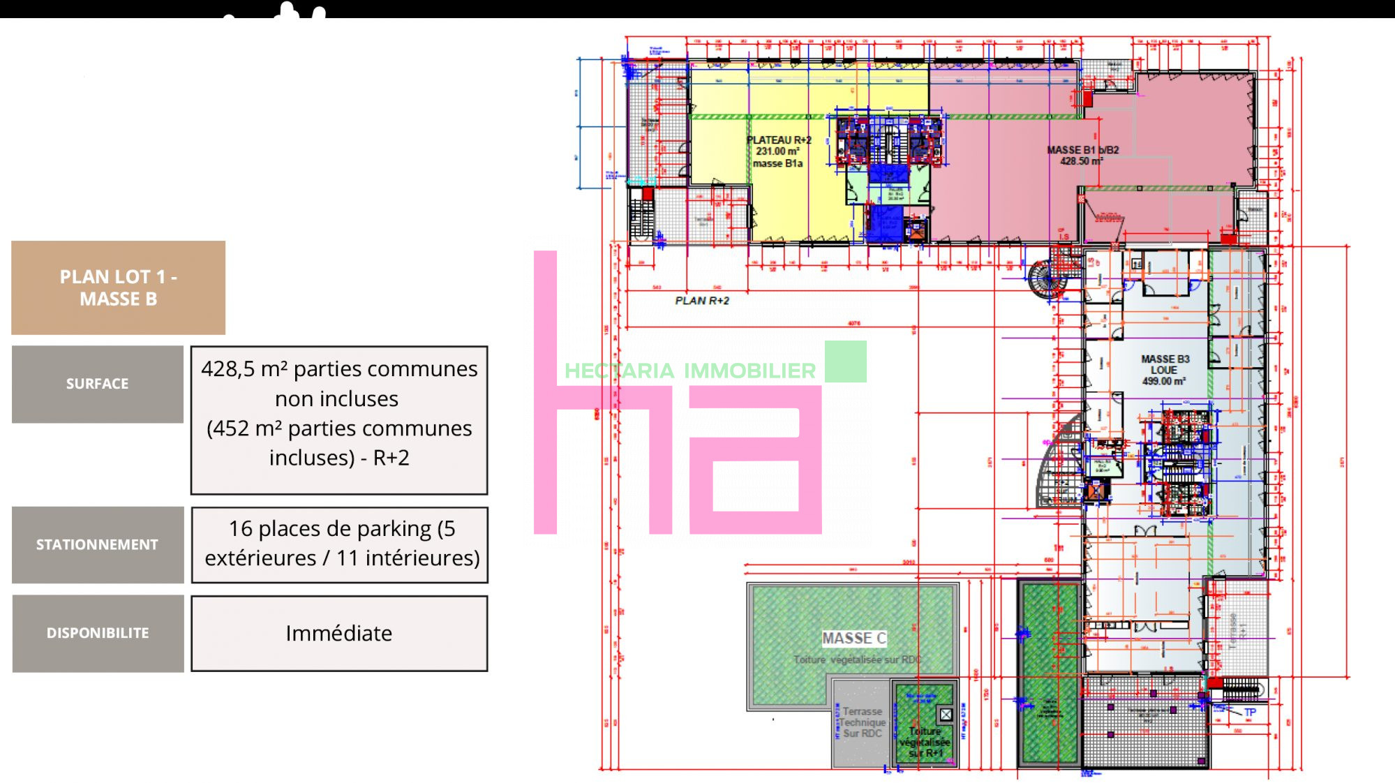 BUREAUX EN ETAGE A LOUER - Photo 5