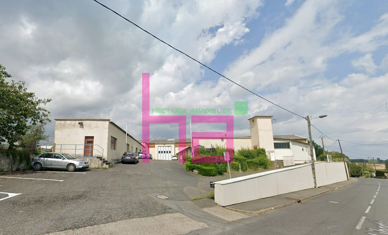 Immobilier Professionnel à vendre Jassans-Riottier - Photo 2