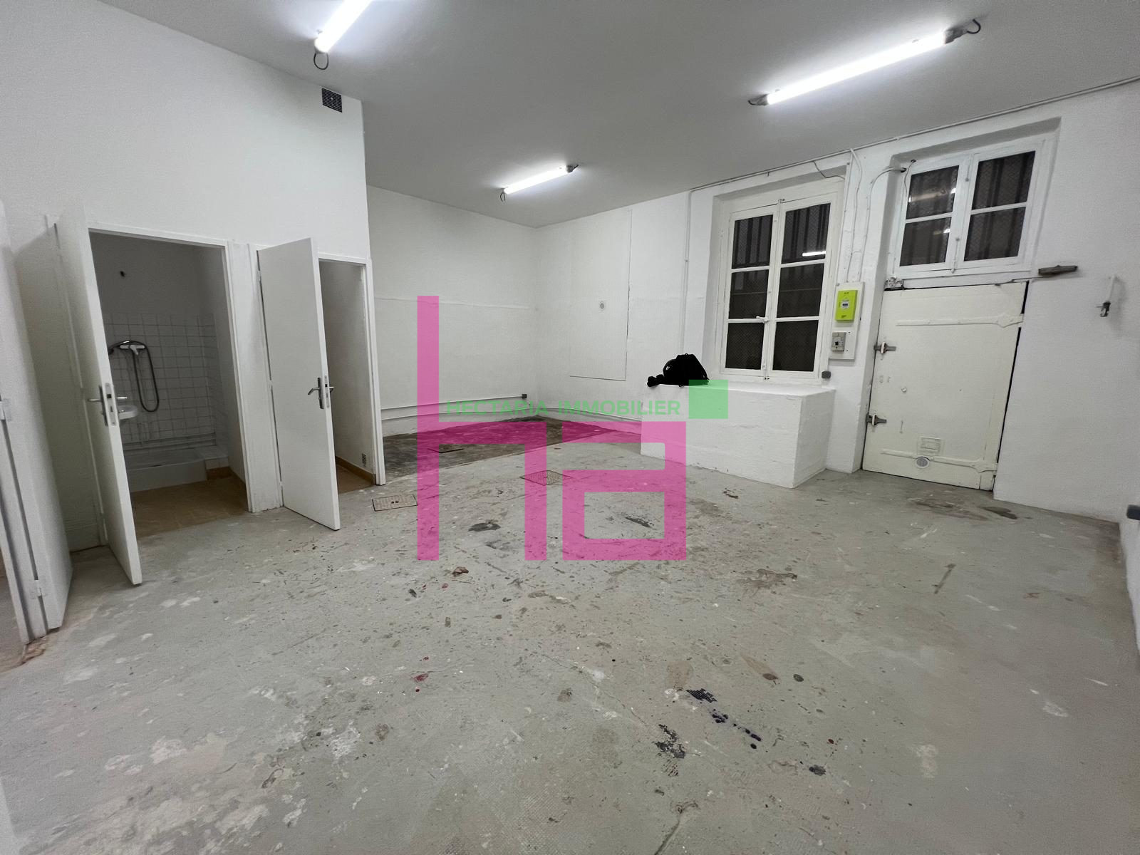Immobilier Professionnel à louer Lyon - Photo 4