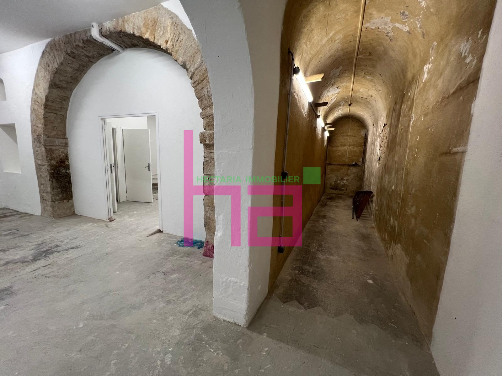 Immobilier Professionnel à louer Lyon - Photo 3