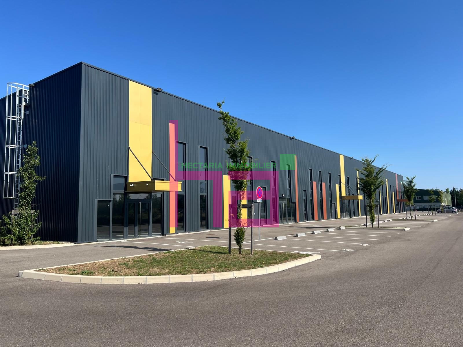 LOCAL ACTIVITE NEUF - Photo 620