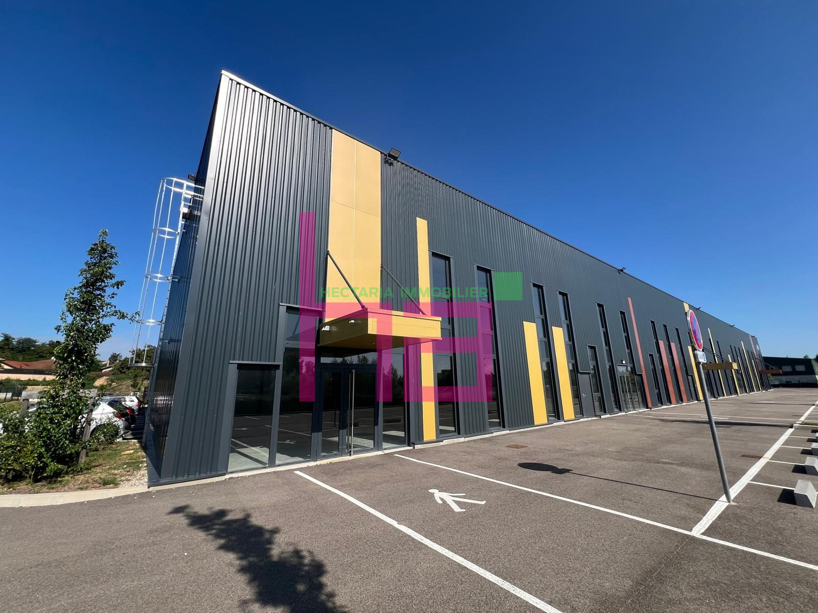 LOCAL ACTIVITE NEUF - Photo 352