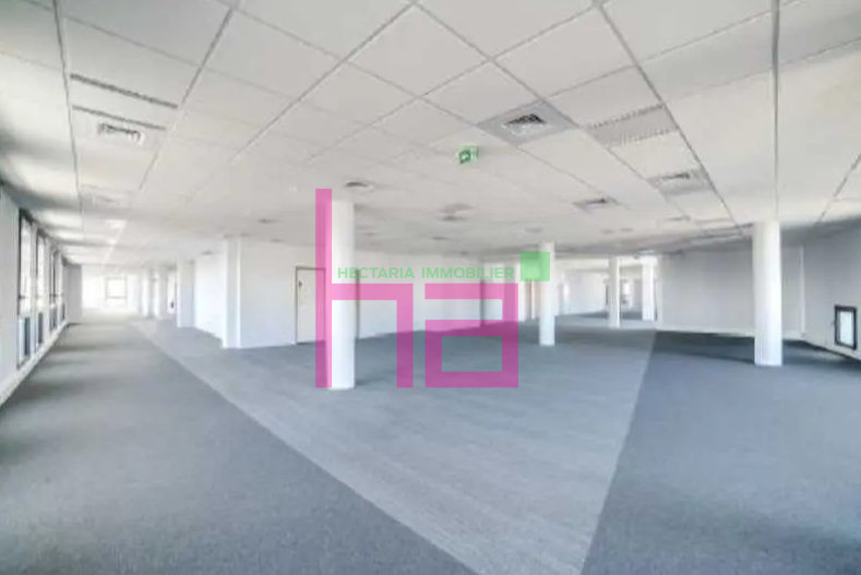 Immobilier Professionnel à louer Villeurbanne - Photo 1054