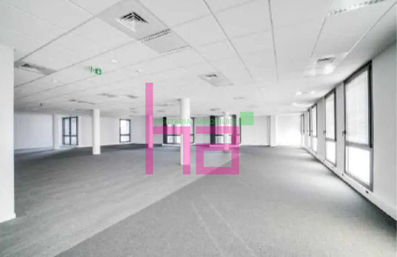 Immobilier Professionnel à louer Villeurbanne - Photo 1036