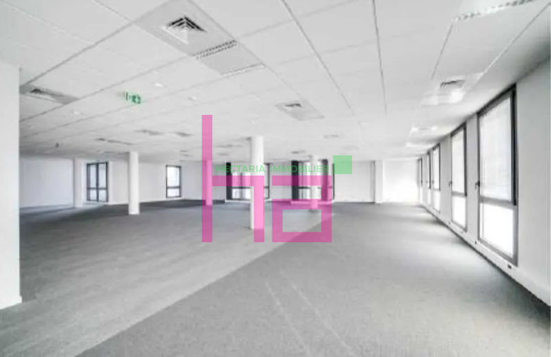 Immobilier Professionnel à louer Villeurbanne - Photo 1060