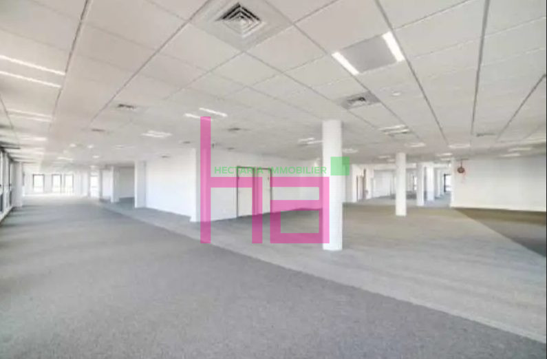 Immobilier Professionnel à louer Villeurbanne - Photo 991