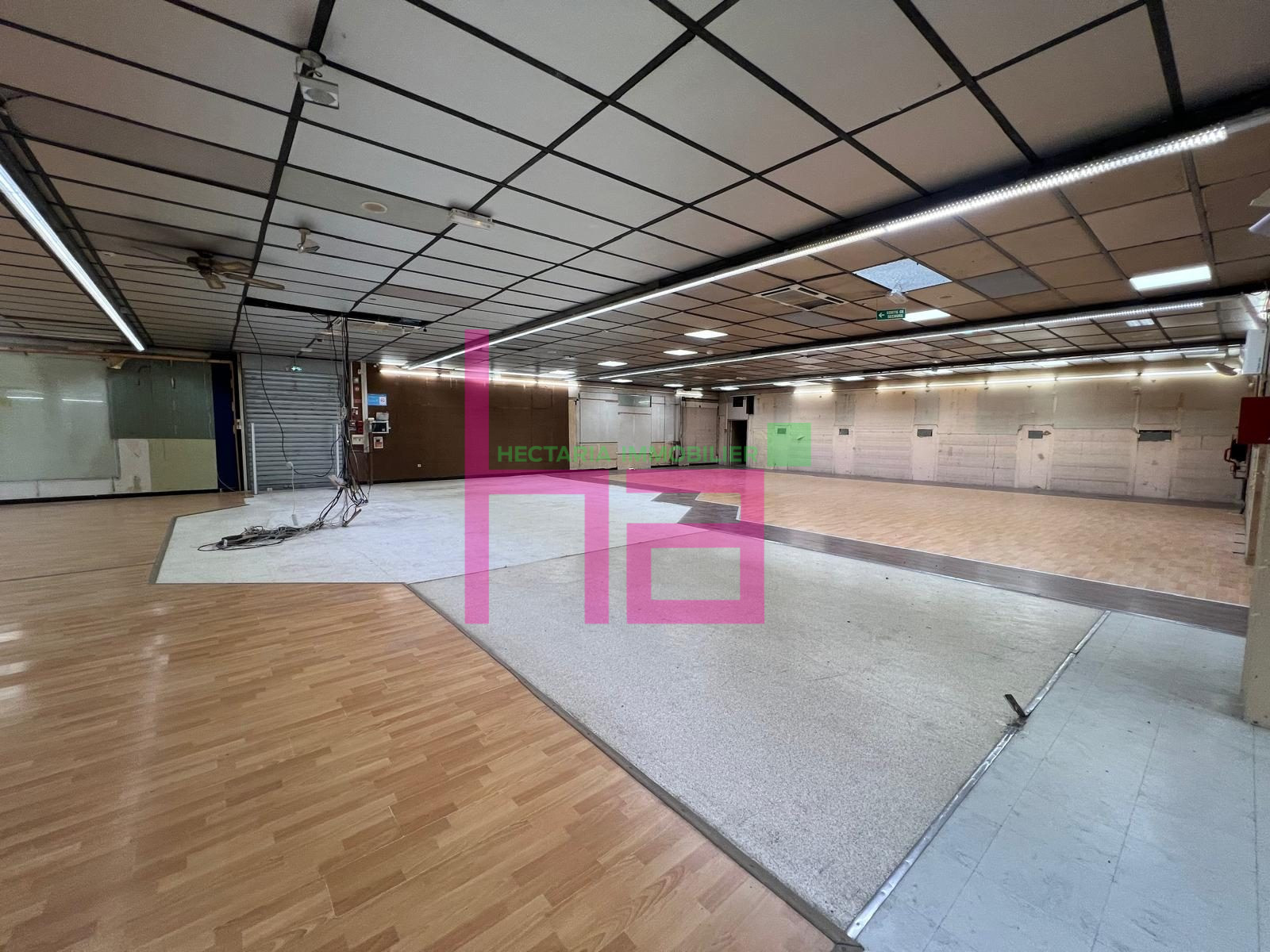 Immobilier Professionnel à louer Ruy-Montceau - Photo 703
