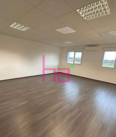 Immobilier Professionnel à vendre Lentilly - Photo 4