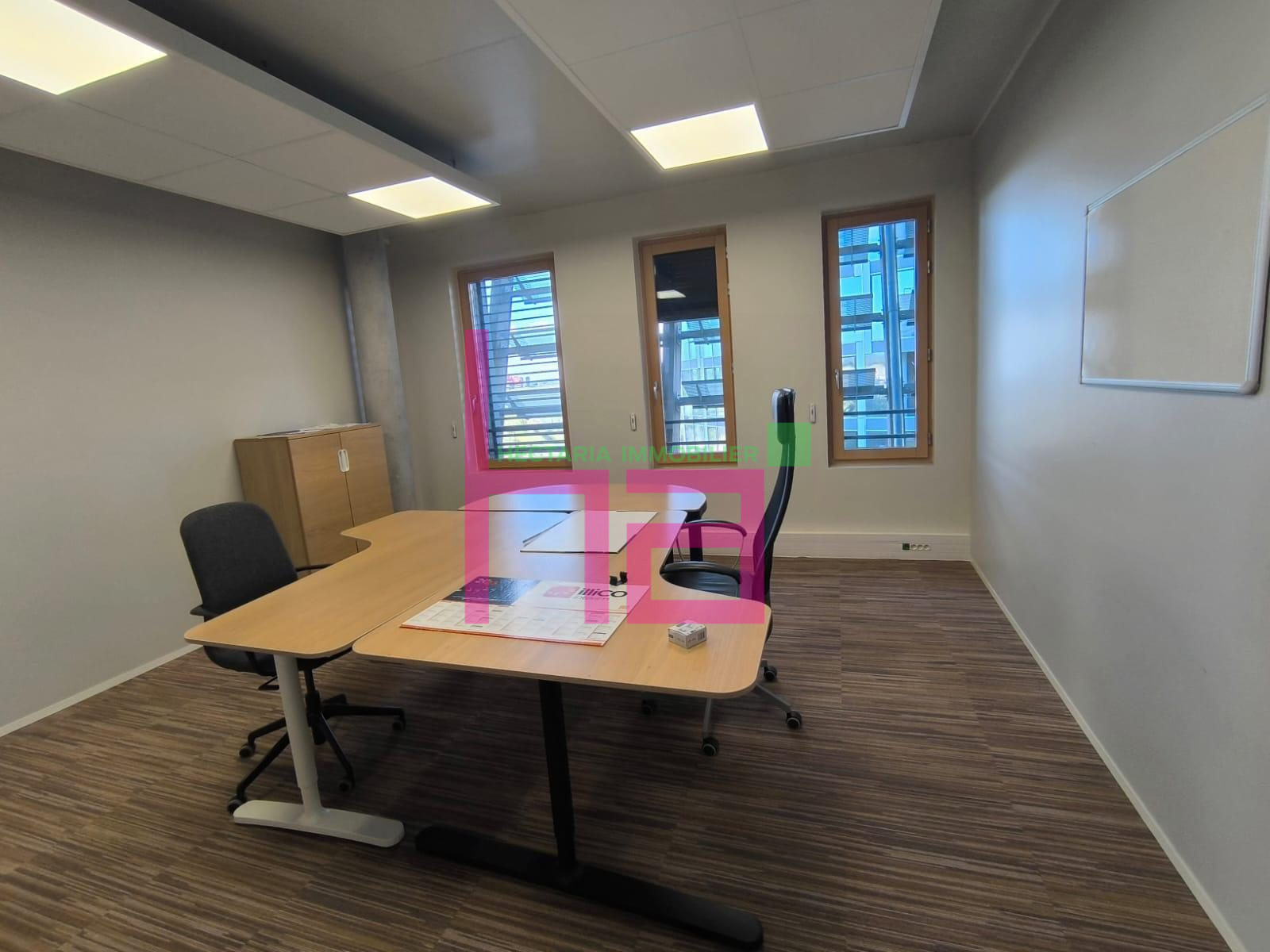 Immobilier Professionnel à vendre Jonage - Photo 198