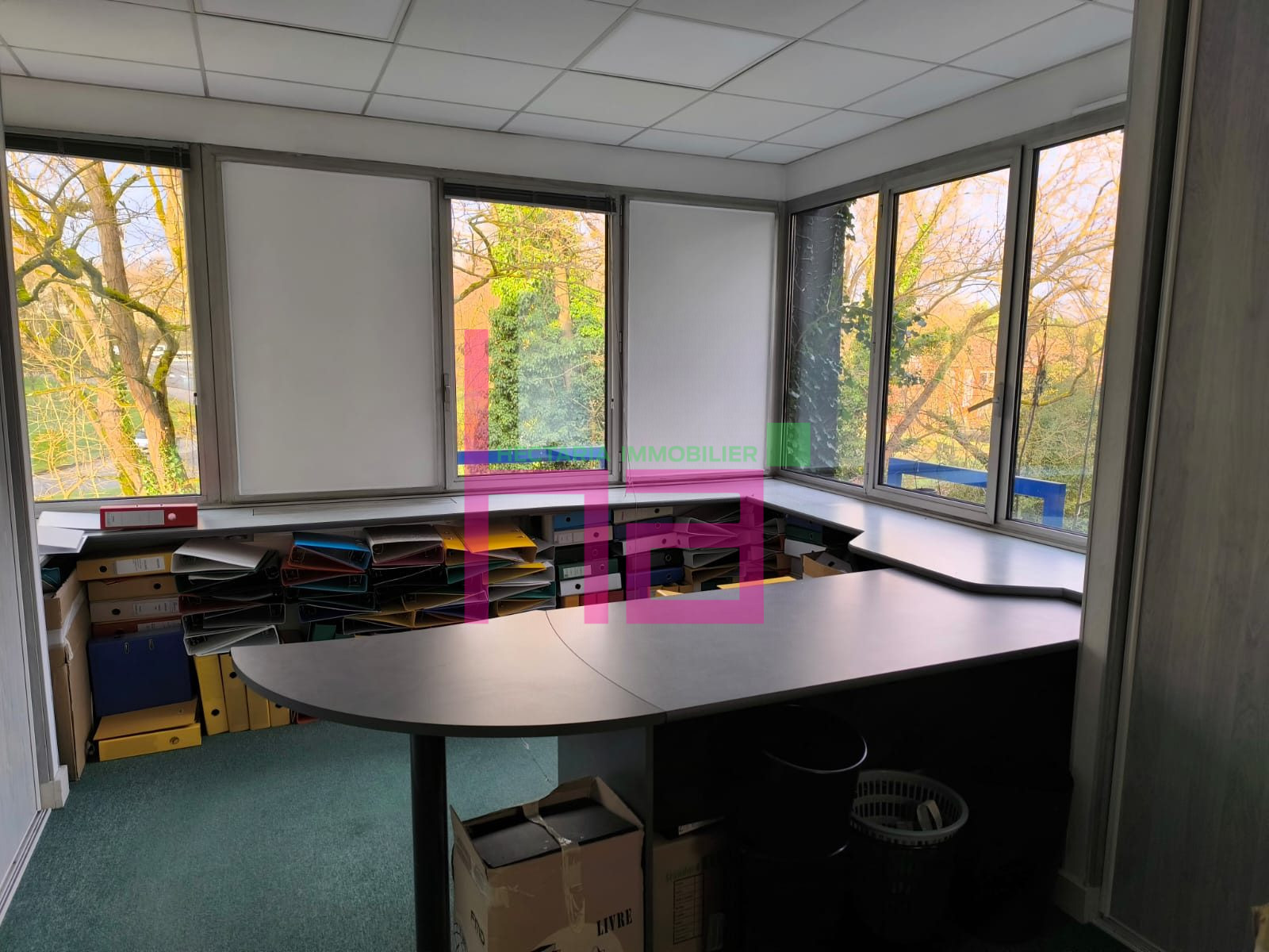 Immobilier Professionnel à vendre Lissieu - Photo 7