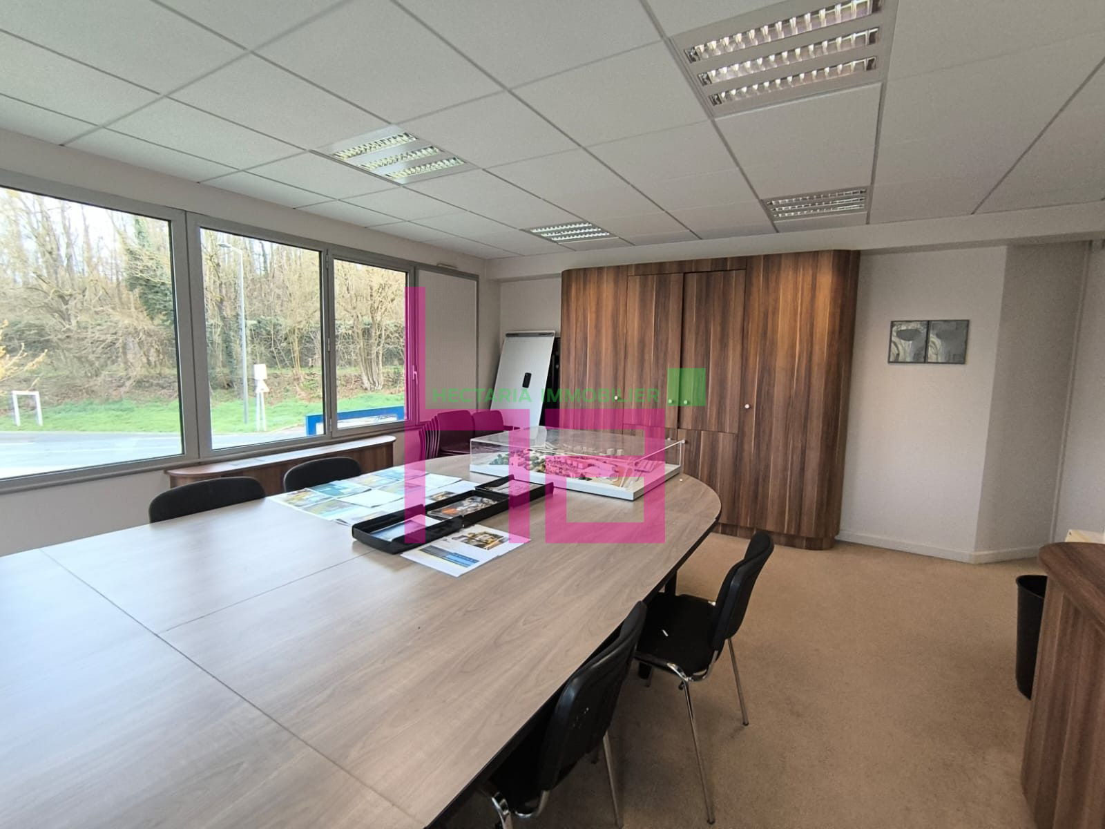 Immobilier Professionnel à vendre Lissieu - Photo 5