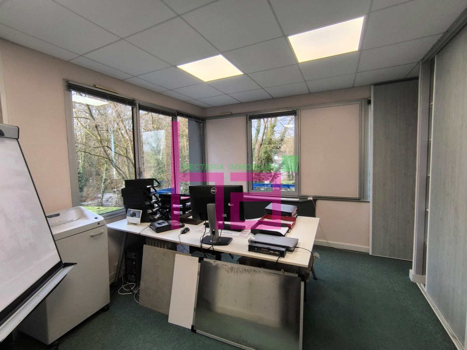 Immobilier Professionnel à vendre Lissieu - Photo 8