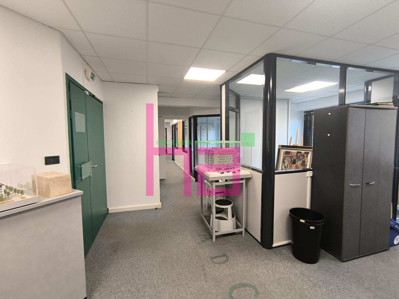 Immobilier Professionnel à vendre Lissieu - Photo 9