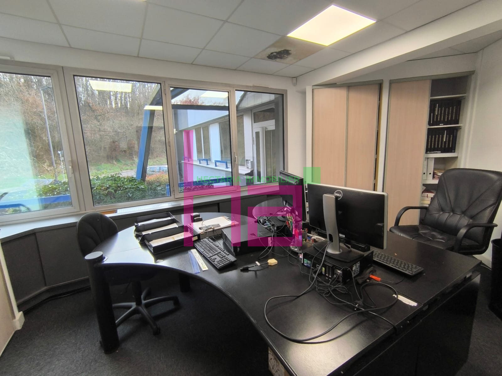 Immobilier Professionnel à vendre Lissieu - Photo 10