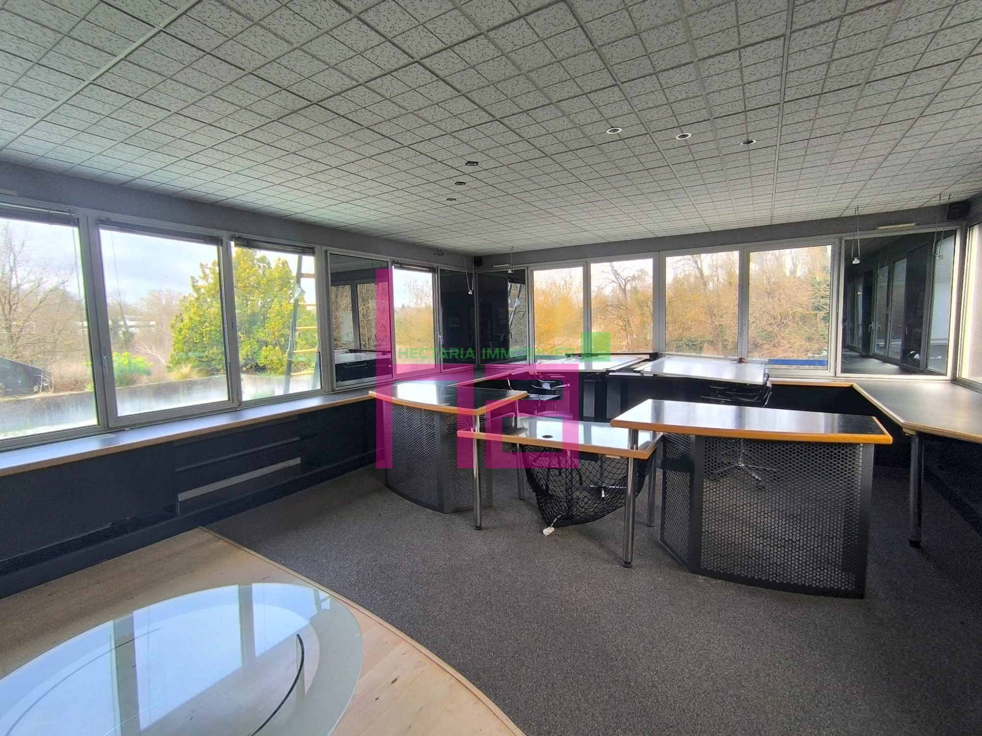 Immobilier Professionnel à vendre Lissieu - Photo 8