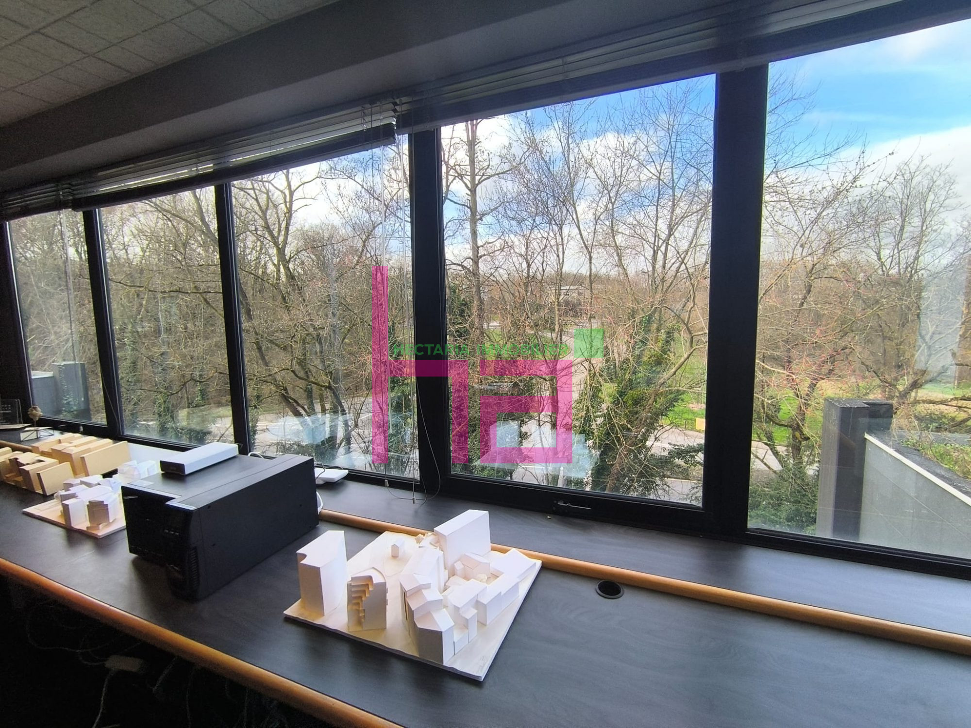 Immobilier Professionnel à vendre Lissieu - Photo 6