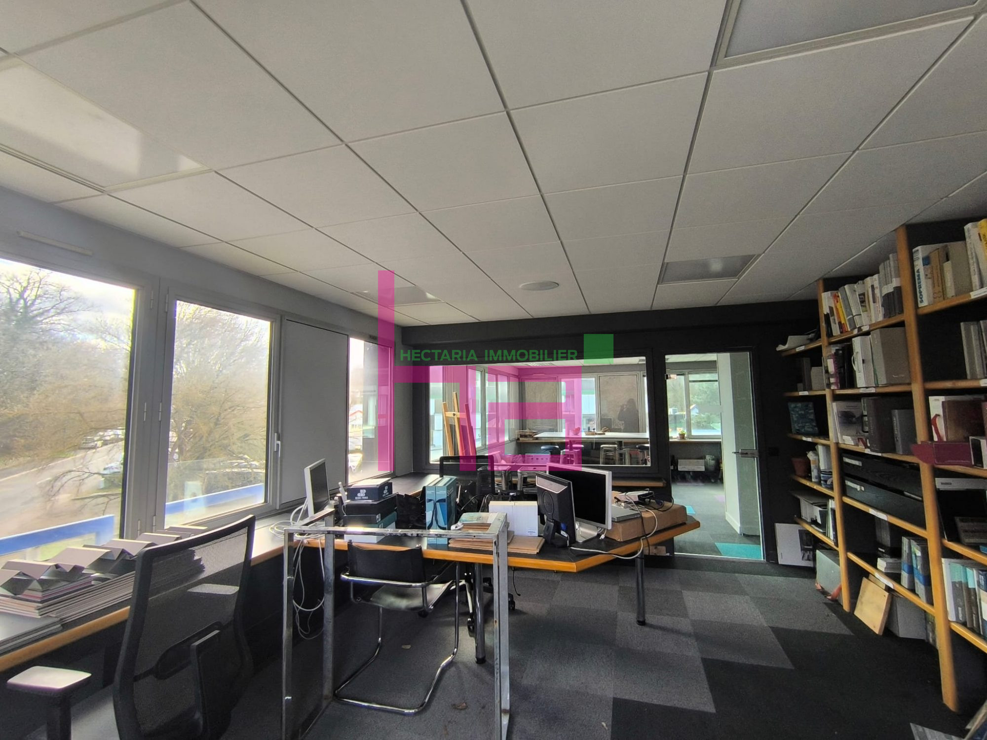 Immobilier Professionnel à vendre Lissieu - Photo 9