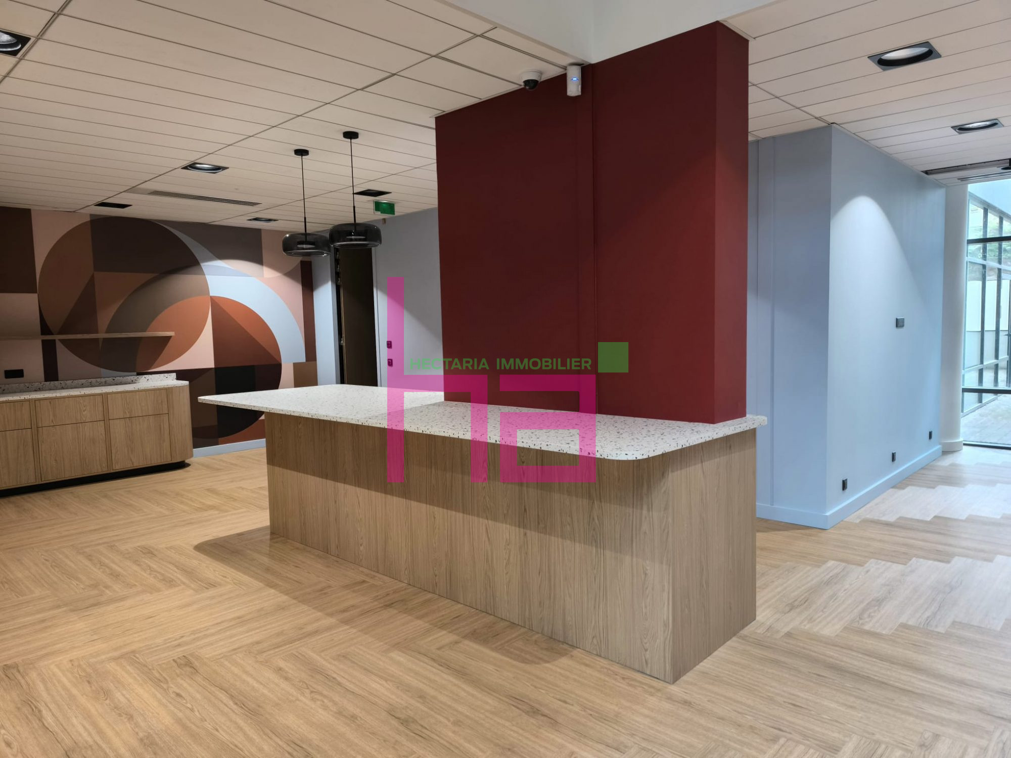 Immobilier Professionnel à vendre Lyon - Photo 7