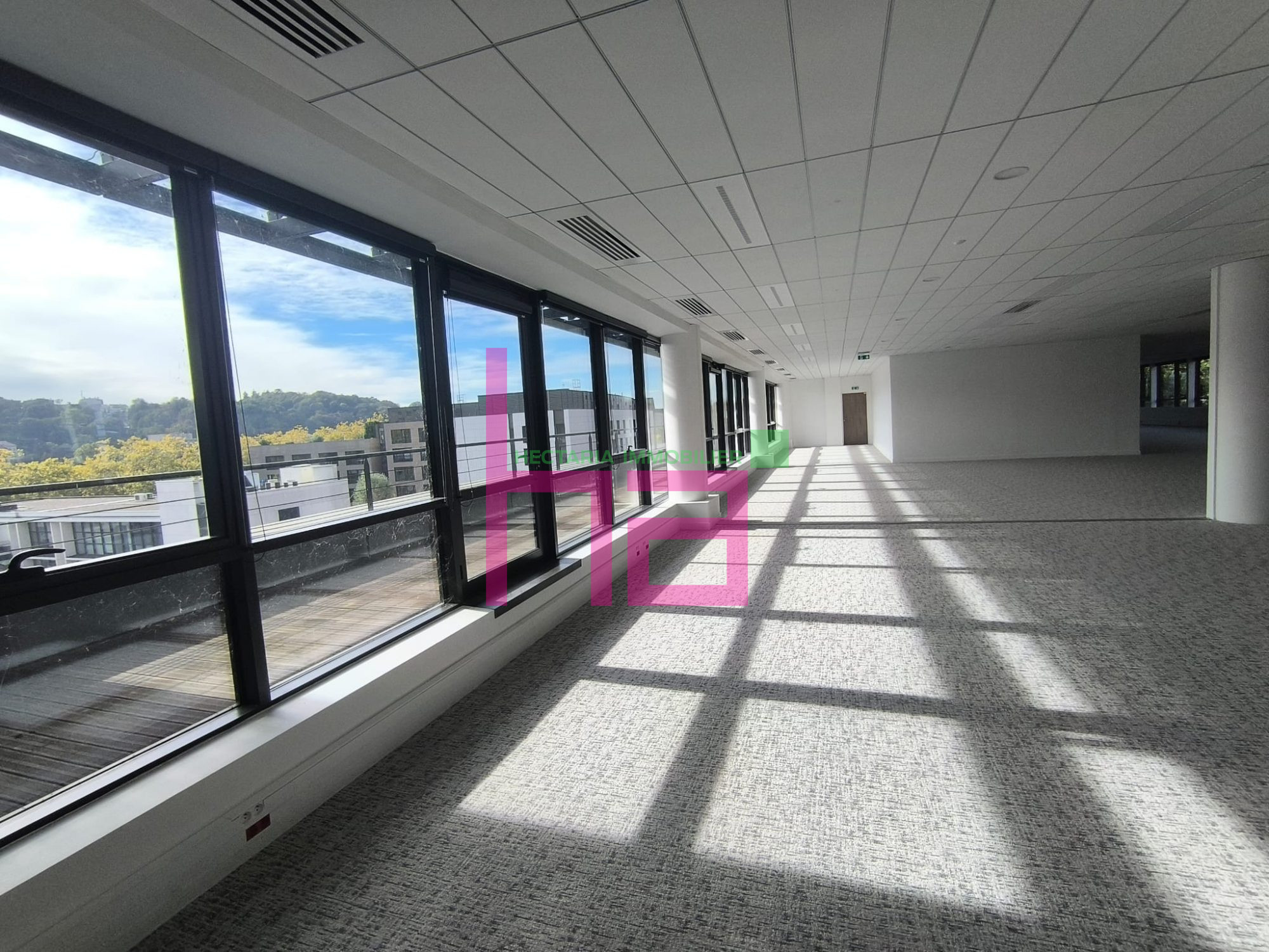 Immobilier Professionnel à vendre Lyon - Photo 3