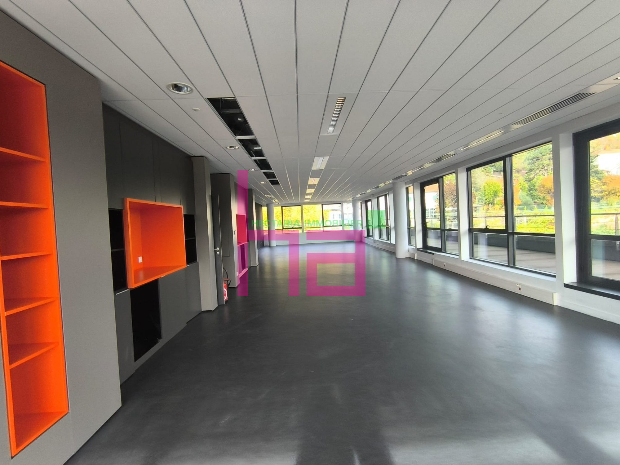 Immobilier Professionnel à vendre Lyon - Photo 1